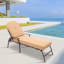 Chaise longue inclinable avec coussins Grigorijus