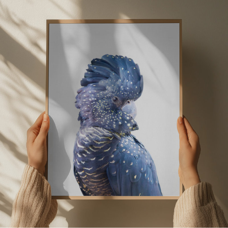 Cockatoo