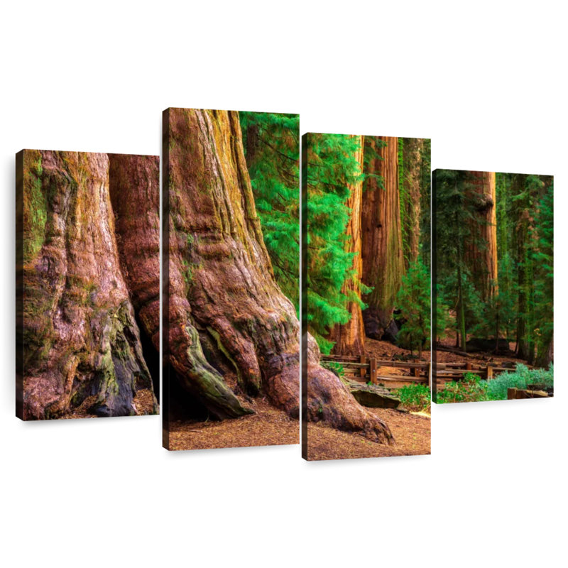 Harnek Sturdy Sequoia Tree, 22" H x 36" W