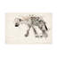 Art abstrait sur toile, Arno Du Toit-95430246