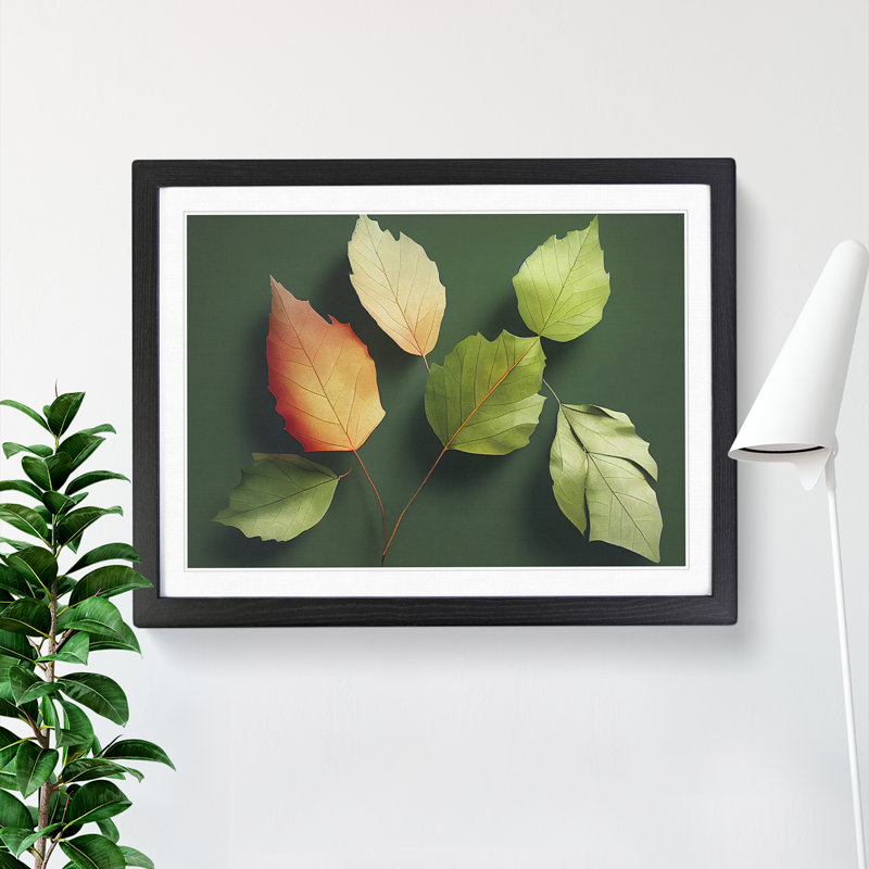 The Garden Leaves - Single Picture Frame Print, Black, 46cm H x 64cm W