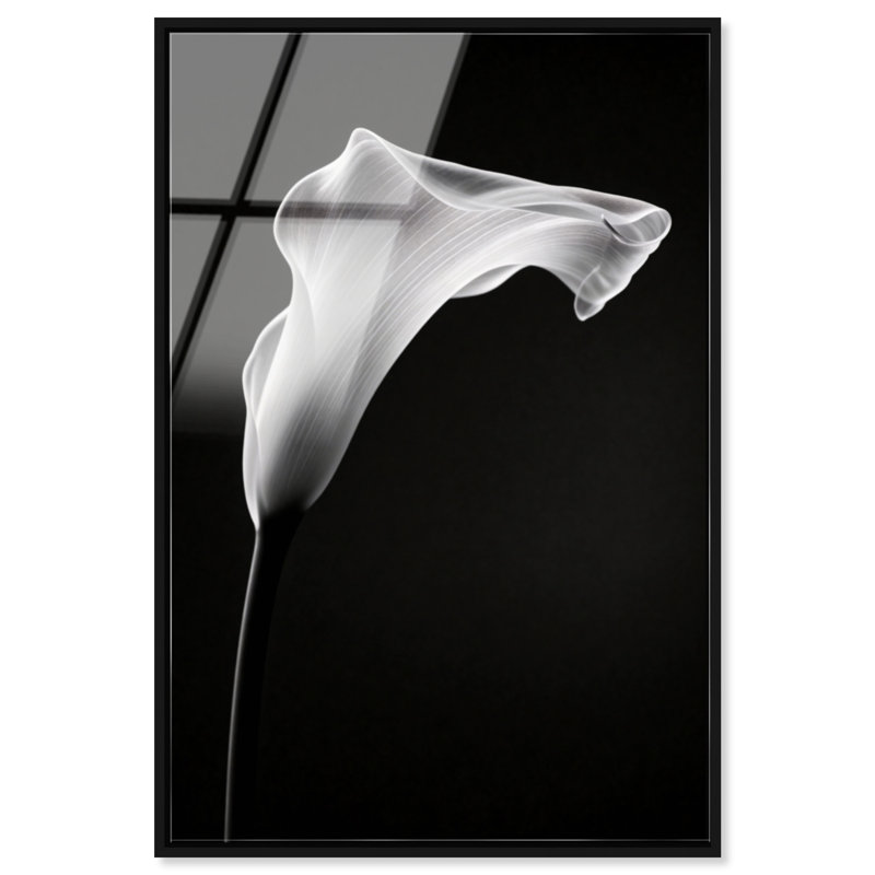 Calla Lily II by Oliver Gal, 21"H x 31"W, Black Floater Frame