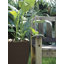 Chris Plastic Pot Planter-1962140390-1888877498