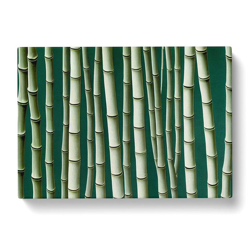 Charming Bamboo Forest - Wrapped Canvas, 50cm H x 76cm W x 3cm D