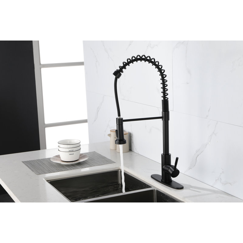 Robinet de cuisine avec douchette extractible - acier inoxydable, noir mat, buse rotative à 360 ° en acier à une poignée