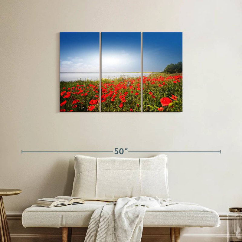 Alvord Lakeside Poppy Field, H 24 po x l 38 po
