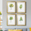 L'arbre I - ensemble de 4 reproductions d'art encadrées-1506622936-1506622935-1496819695