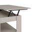 Adrianne Lift Top Four Leg Coffee Table with Storage-37943691