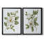 «Magnolia Morning I», toile encadrée de qualité supérieure - prête à être accrochée-1603279573-1603279576