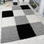 Sanasar Chequered Shag Area Rug-32128968