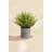 Artificial Milan In Pot-737892742