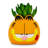 6'' Plant