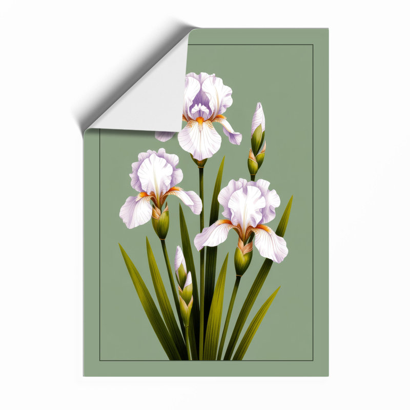 Ruffled Iris Study Botanical - Framed Print, A1 - 84.1 x 59.4 cm, Unframed