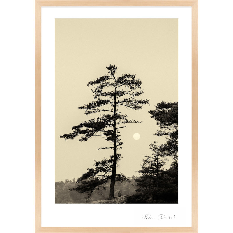 Serenity Print by Peter Dušek, Brown, 25" H x 17.5" W x 1.25" D
