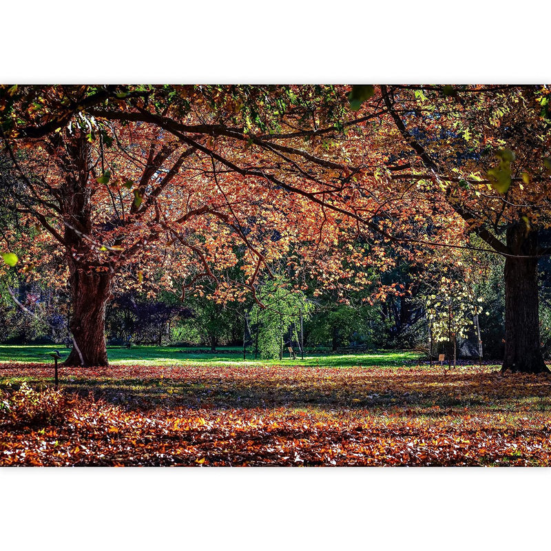 Forest Nature Landscape Peel & Stick Border, 100" L x 144" W