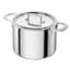 Sensation 5-ply 8-qt Stainless Steel Stock Pot