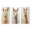 Furry lama - ensemble de 3 reproductions d'art mural en métal lama-875538945