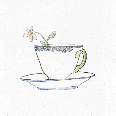 Drawing a 'Tommy Kane' teacup - Liz Steel : Liz Steel