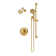 Braston HydroMersion Shower Trim Kit with Hand Spray
