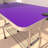 Pet Grooming Table (Purple)