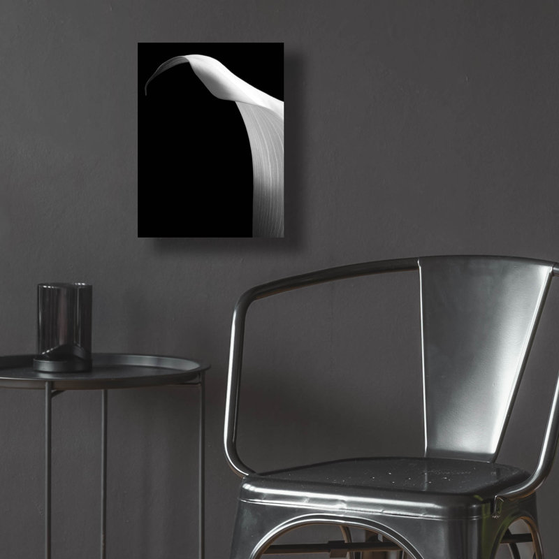 "Lily On Black 01" par Tom Quartermaine, H 16 po x l 12 po