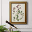 Antique Botanical Collection I, toile encadrée de qualité supérieure - prête à être accrochée-24480486