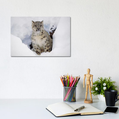 Snow Leopard In Snow, Native To Asia by Tim Fitzharris - Wrapped Canvas Print