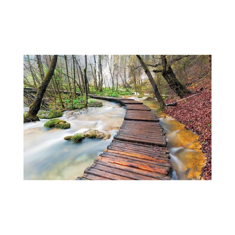 A Walk In The Woods, Plitvice Lakes National Park, Croatia by Jim Nilsen - Wrapped Canvas Print