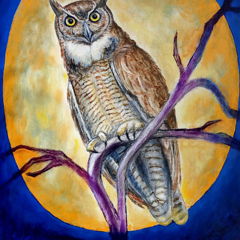  Housse de coussin rectangulaire et insert Owl in Moon, 16" x 20"