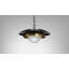 Carapace 1 - Light Pendant