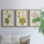 «Antique Leaves VII», ensemble de 3 peintures sur toile encadrées-1018014667-1018014662