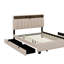 Lit plateforme tapissier avec tête de lit, lit gigogne, tiroirs et ensemble de prises et ports USB-119228950-119228947
