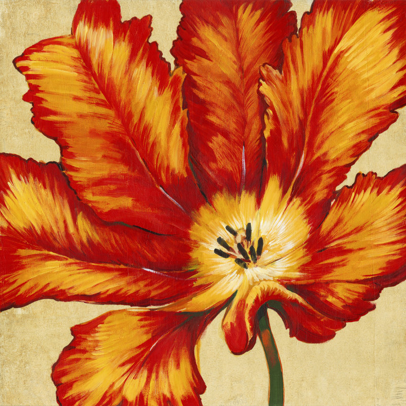 Parrot Tulip II by Timothy O' Toole - Wrapped Canvas Painting, 91cm H x 91cm W