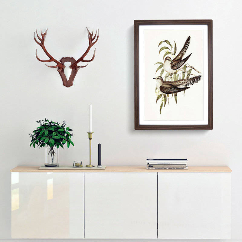 Unadorned Cuckoos by Elizabeth Gould - Picture Frame Painting Print, 48cm H x 36cm W x 2cm D, Walnut Framed