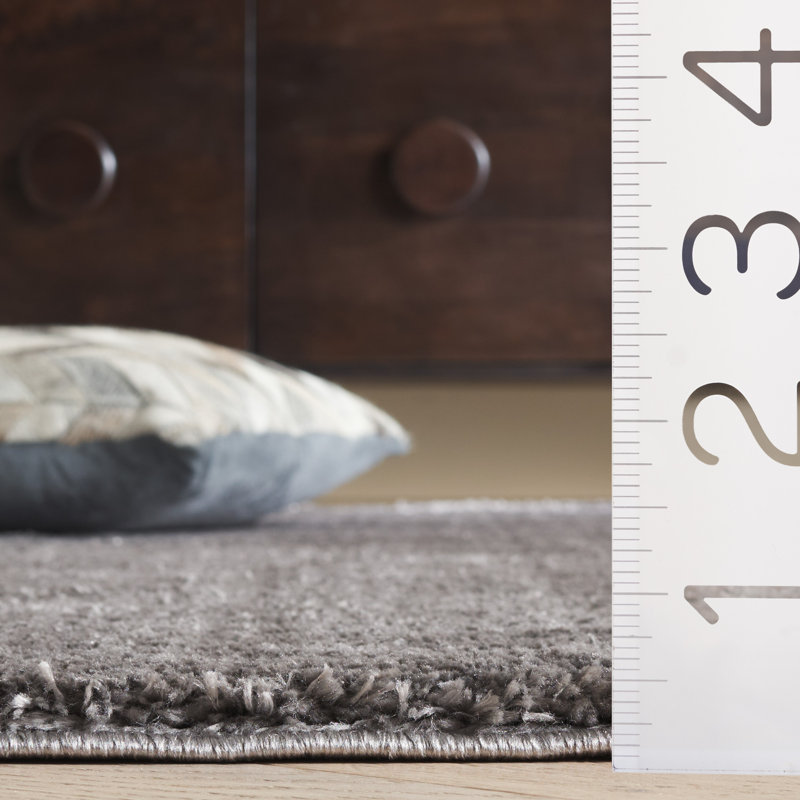 Tapis à poils longs Paulina Penelope Performance, Rectangle 5 pi 3 po x 7 pi 6 po