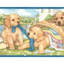 Bordure de blanchisserie chiot