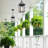 Frohwald Outdoor Hanging Lantern