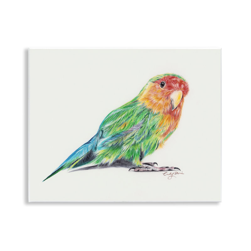 Rainbow Gradient Parakeet Wall Plaque, design by Cady Driver