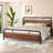 Aveana Platform Bed-1504581938-1504581931