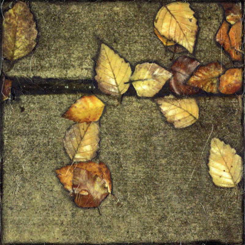 Wet Pavement III - Wrapped Canvas Print, 51cm H x 51cm W x 3.8cm D