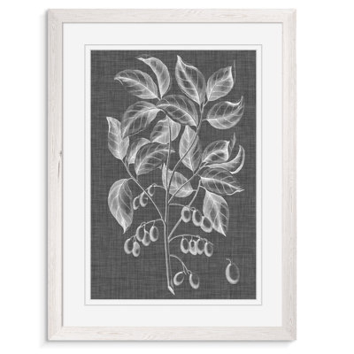 "feuillage graphique v" par paul cezanne-cadre photo, reproduction d’art