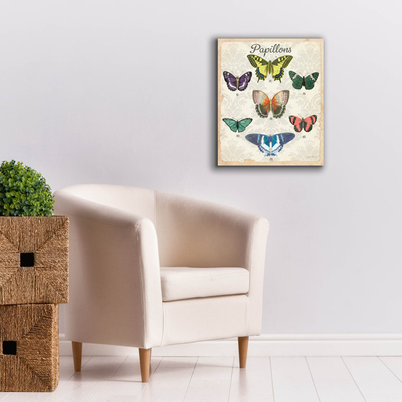 «Epic Graffiti« Beautiful Papillon Study B »par Jean Plout, art mural sur toile, 20 po x 24 po, H 24 po x l 20 po