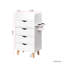 Armoire de rangement pour salon 4 couches avec 2 supports pour sèche-cheveux et 4 tiroirs - Barber Styling Station Organiser-592030547