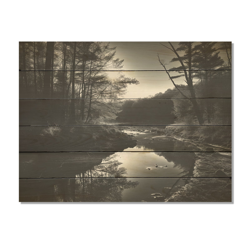 Enchanted River Forest Scenery - Forest River, art sur bois de pin naturel, H 10 po x l 20 po