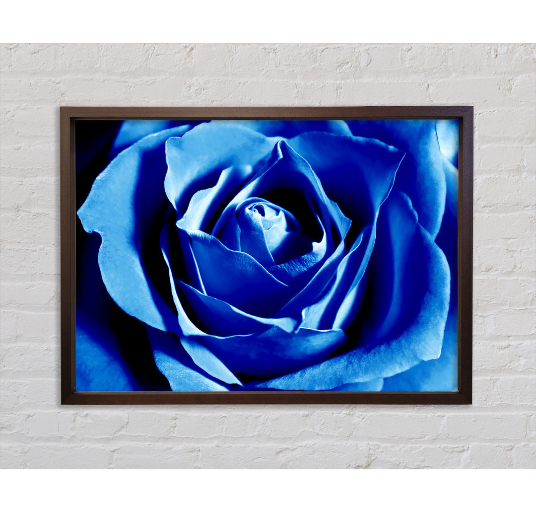 Gerahmtes Leinwandbild Blue Rose Petal