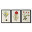 Fleurs des saisons VI - Toile tendue avec châssis sur mesure - 3 pièces-330336286-330336311