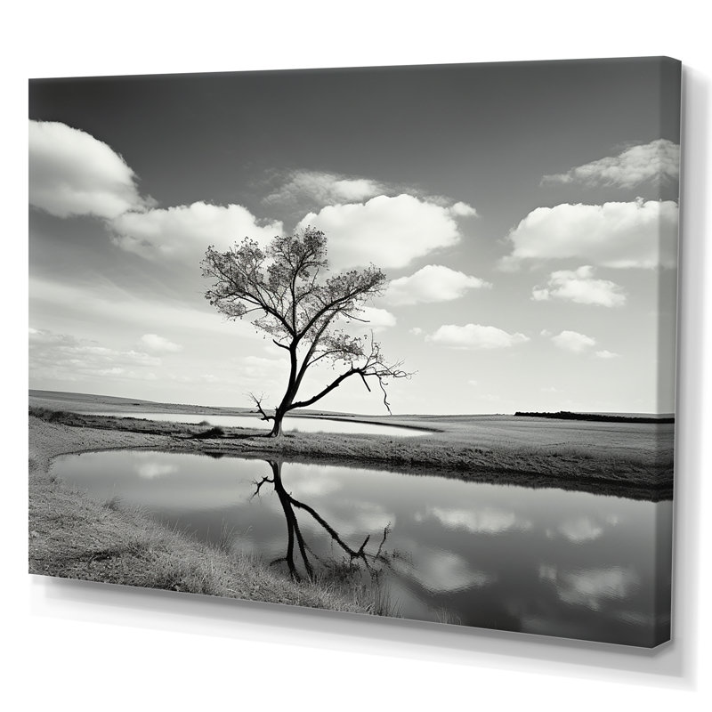 Photographie d'un arbre noir et blanc au bord du lac, Toile tendue, H 16 po x l 32 po