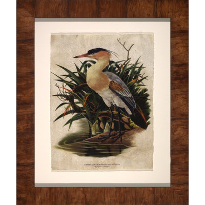 Whistling Heron - Peinture encadrée sur papier