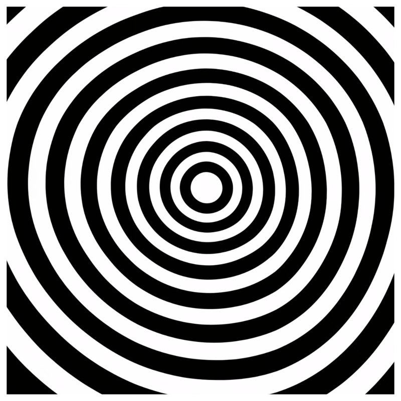 Coussins décoratifs noirs et blancs à cercles concentriques, 20 x 20 inches