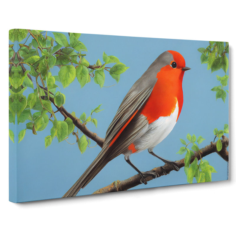 Superb Robin Bird - Wrapped Canvas